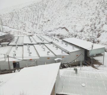 مزرعه آبزی نگین فریدونشهر در فصل زمستان