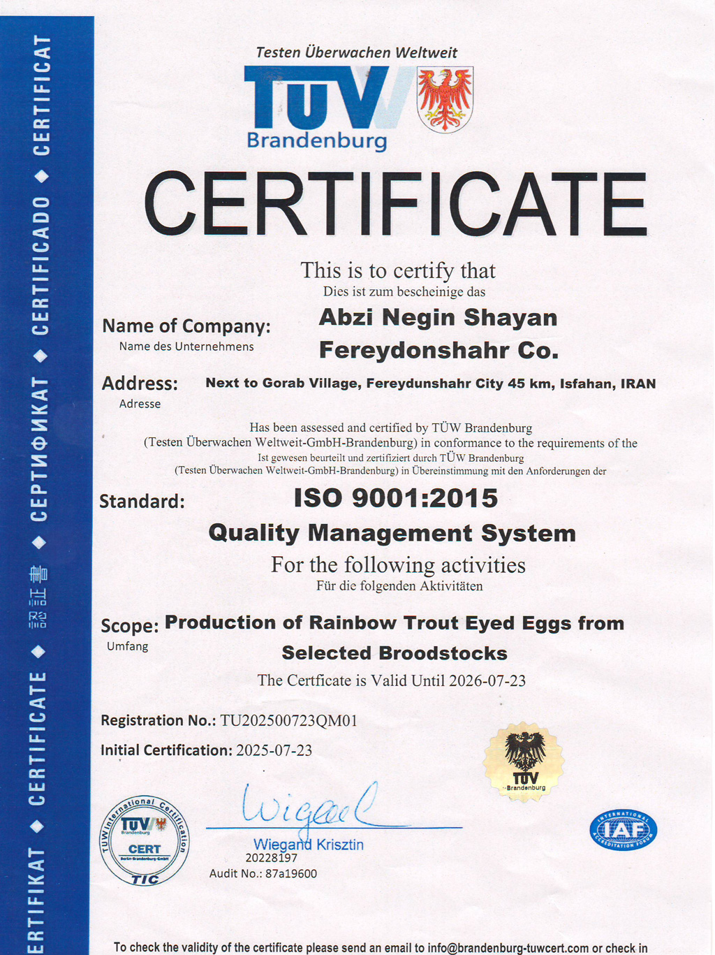 گواهی ISO 9001