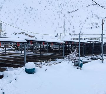 استخرهایفاز یک، بچه ماهی - فصل زمستان