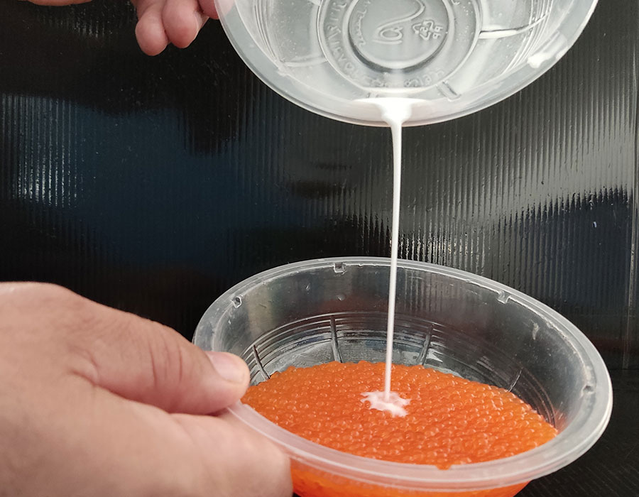 لقاح ، اختلاط اسپرم با تخمک