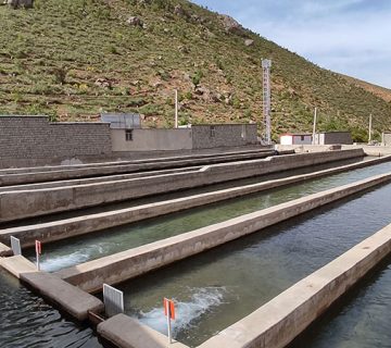 استخرهای فاز ۲، پیش مولد