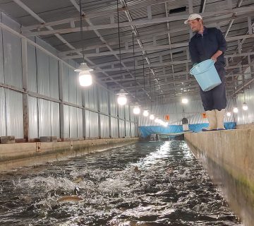 سالنهای نوری ویژه مولدین