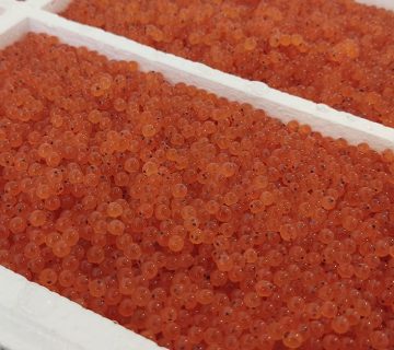 تخم چشم زده